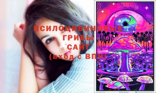 сатива Ельня